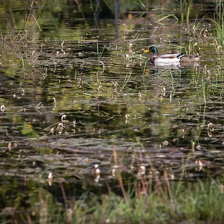 Take It Slowly Jaktstuga Gedinne